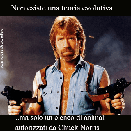 meme chuck norris teoria evolutiva