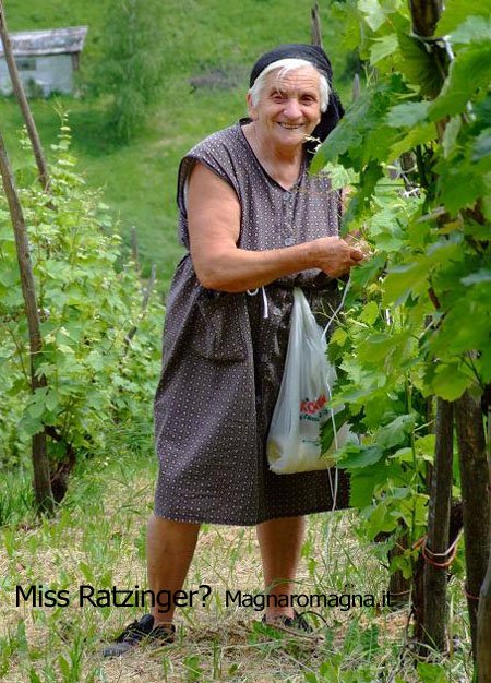 Miss Ratzinger: sosia?