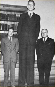 gigante wadlow