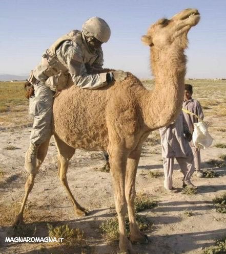 Militari, foto curiose con protagonisti i soldati
