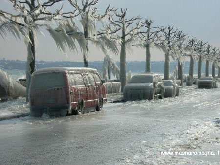 Un freddo record sul lago Lehman provoca una ghiacciature di autovetture e alberi sul litorale: bellissime sculture!
