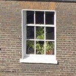 Zoom via satellite permette di vedere scene private