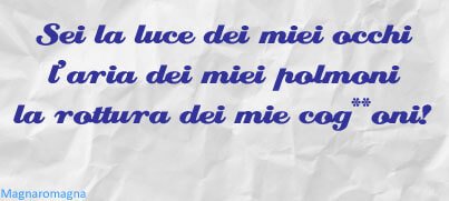 Sei la luce dei miei occhi, l'aria dei miei polmoni, la rottura dei miei co..