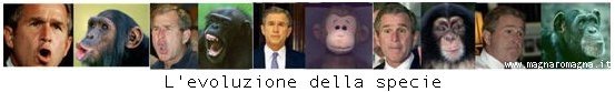 Comparazione Bush scimpanzè