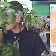 Travestimento uomo albero