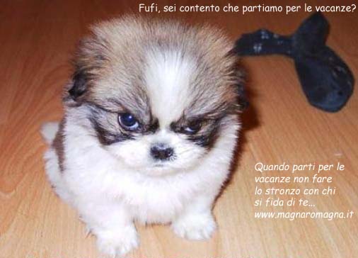 se il cane potesse parlare