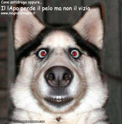 Il vizio di Lapo Elkann