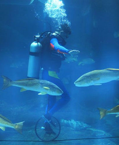 Giochi olimpici marini