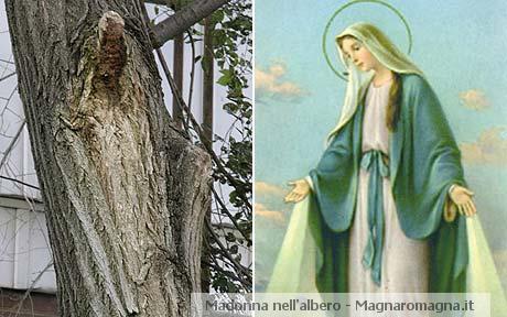 illusione madonna che appare