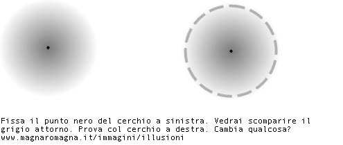 Cerchi che scompaiono: fissa il punto nero nel cerchio a sinistra, e vedrai scomparire il grigio intorno. Riprova con il cerchio a destra. Cambia qualcosa?