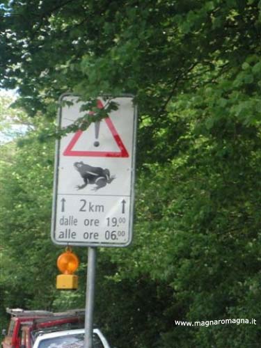 attenzione rospi