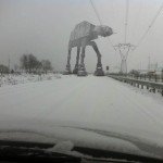 Natura, immagini particolari