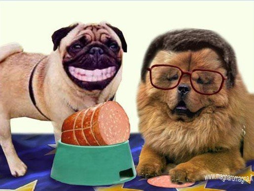 berlusconi pierprodi