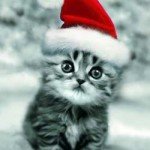 Giochi bastardi, distruggi & picchia