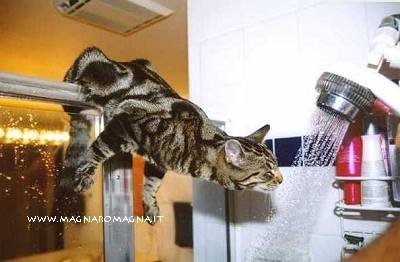 bere sotto la doccia