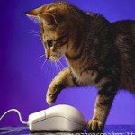 Animali, galleria 2 - Foto tenere e buffe