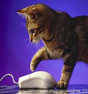 il gatto e il mouse