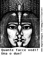 Quante facce vedi nella seguente vignetta? Una oppure due? Dipende da come il tuo cervello interpreta questa illusione ottica, a seconda che li vedi di fronte o di profilo.