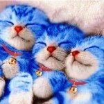 Carnevale, galleria 2: foto di costumi strani di carnevale