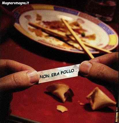 non era pollo cinese