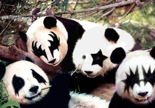 panda strani