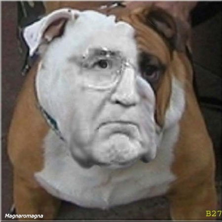 fotomontaggio politico cane
