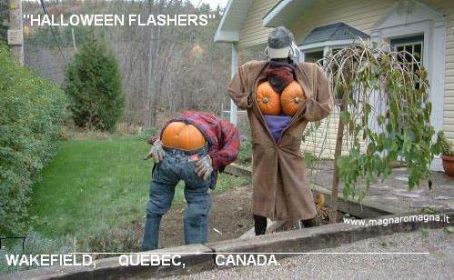 spaventa passeri halloween