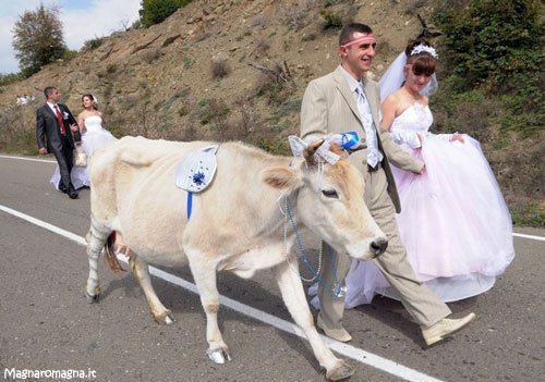 testimone di nozze alternativo