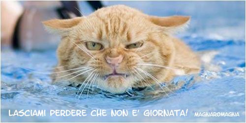 Lasciami perdere che non è giornata!