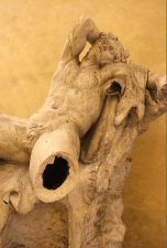 vandalo per fare foto