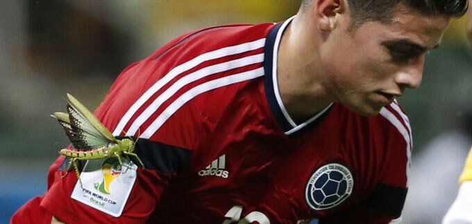 cavalletta ai mondiali