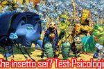 che insetto sei