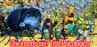 che insetto sei