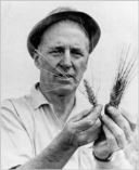 ernest-borlaug