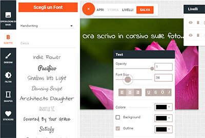 schermata inserimento scritte