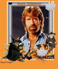 streghe di halloween