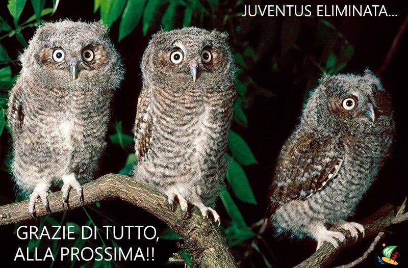 3 gufate per la Juve